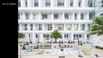 国产综合社区,打造多元化互动平台，引领网络文化新潮流