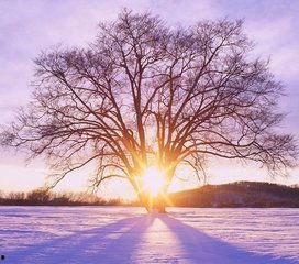 1024国产基地在线,探索中国科技产业的创新与发展