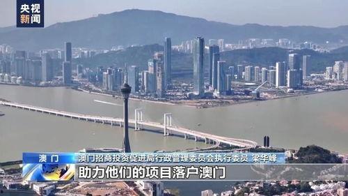 国产精区,引领科技潮流，打造民族品牌新高度
