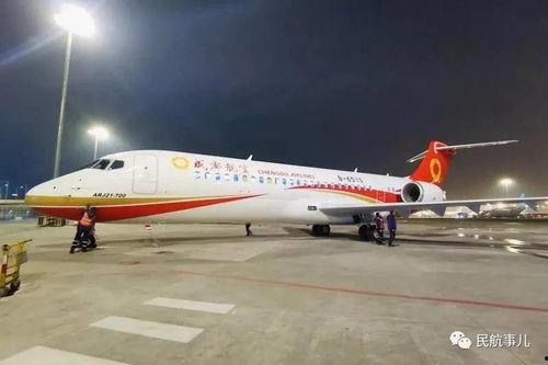 国产一区21,匠心独运，光影交织的艺术之旅