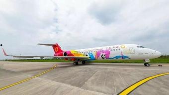 国产一区21,匠心独运，光影交织的艺术之旅